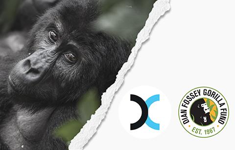 Exela Launches Co-Branded Gear Benefitting the Dian Fossey Gorilla Fund